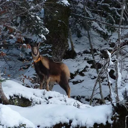 De Peyrelance Σαλέ *